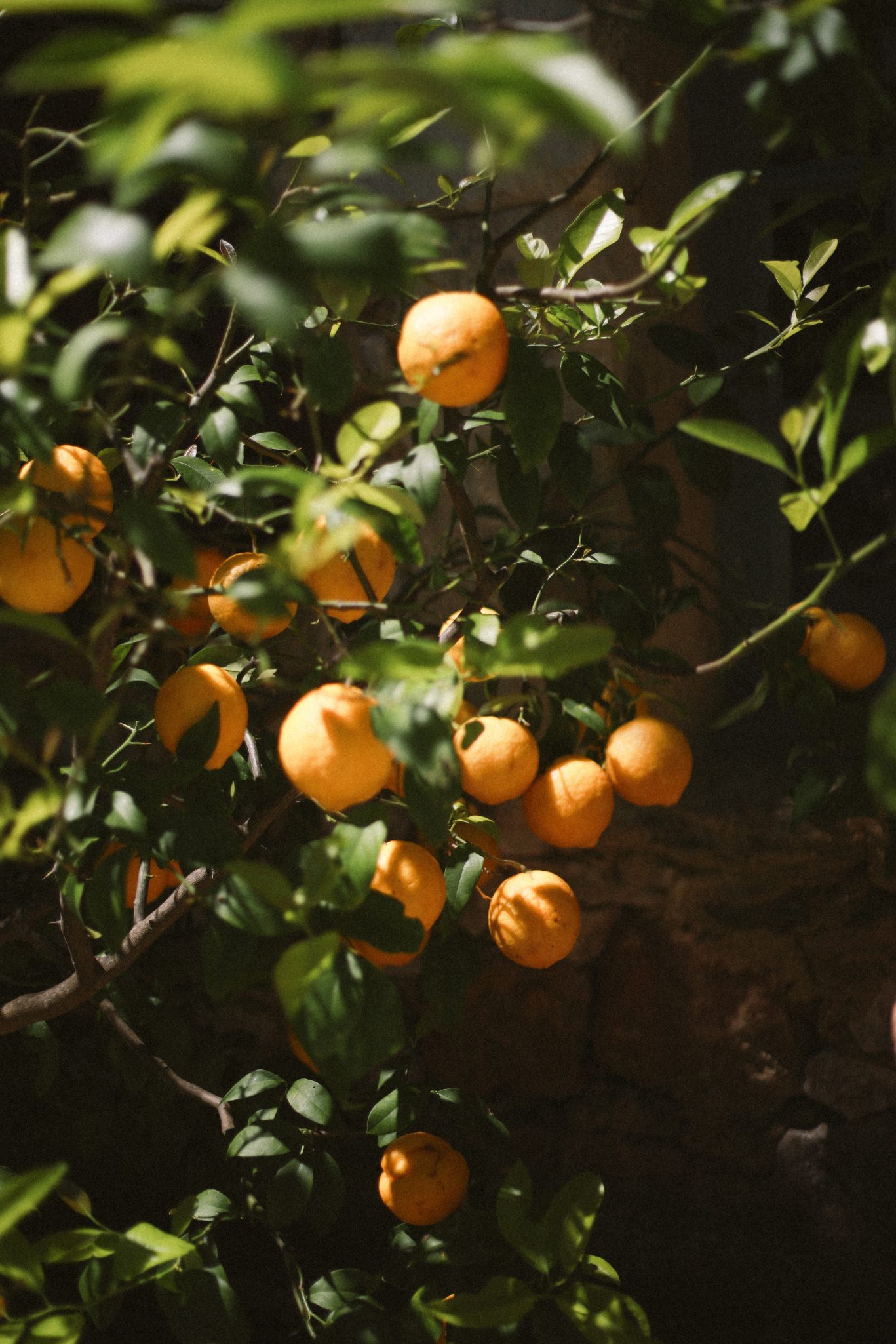 destination wedding planner in Provence empreinte ephemere orange