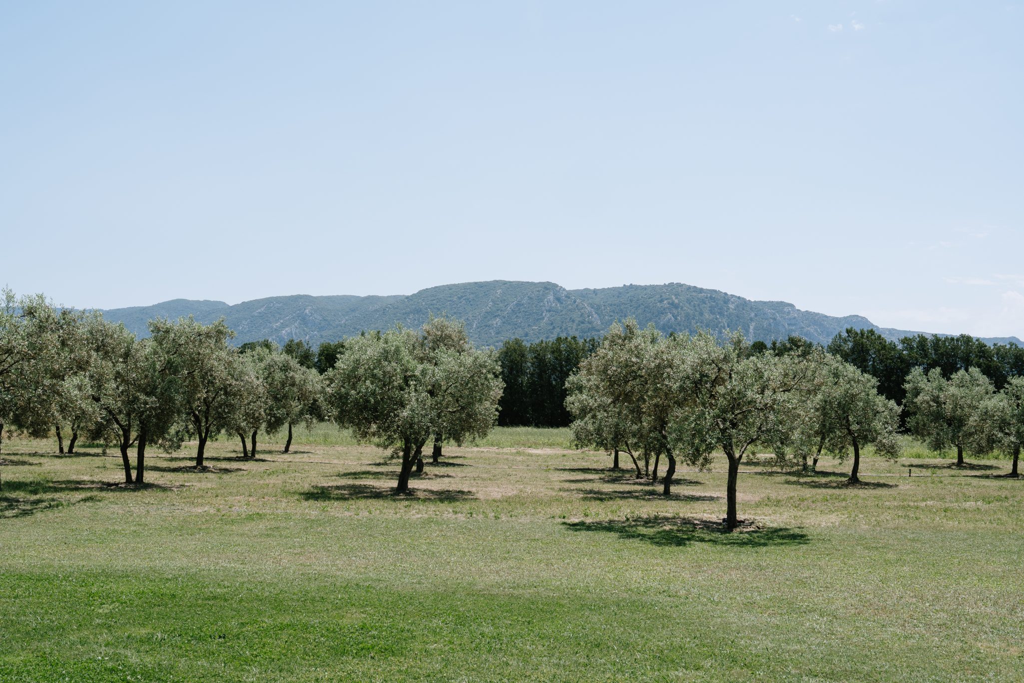 high-end-simplicity-wedding-planner-designer-provence-artistic-direction-empreinte-ephemere