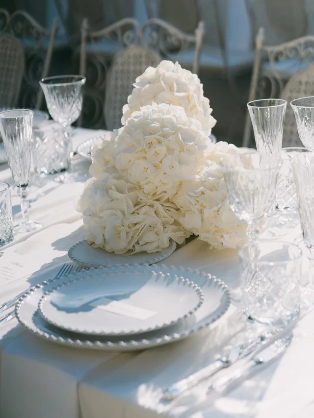 | Styling tip |Tableware accounts for almost 30% of your table’s design. Plates, cutlery, and glasses are more than accessories, they set the tone and elevate the entire look.#provencewedding
#provencestyle
#tablescapestyling
#weddingdesign
#destinationwedding
#stylingtip