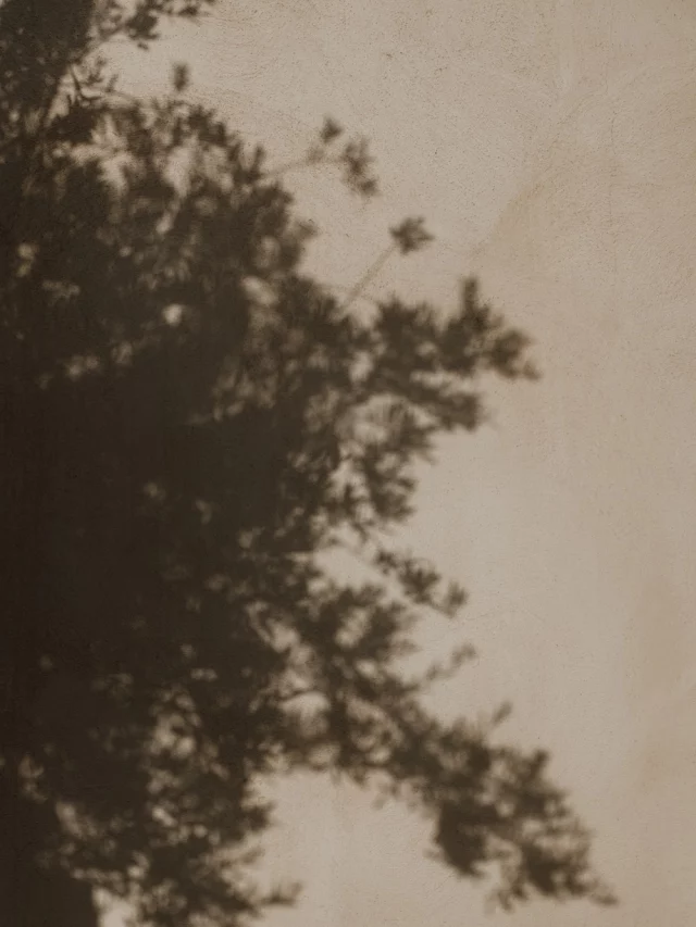 | Quiet Experience |An experience shaped around calm,
crafted through space, light and material.Living the moment, without performance.A suspended time,
designed to be lived.